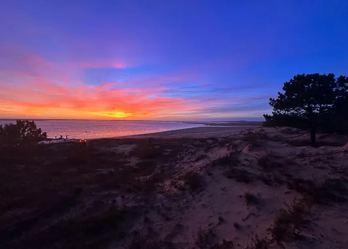 فيلة Moderne 8 Pers A La Palmyre Avec Piscine & Wifi - Fr-1-705-15 لو ماثيز