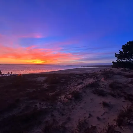 Villa Moderne 8 Pers A La Palmyre Avec Piscine & Wifi - Fr-1-705-15 Les Mathes