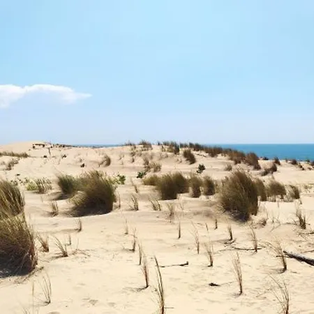 Moderne 8 Pers à La Palmyre Avec Piscine&wifi - Fr-1-705-15