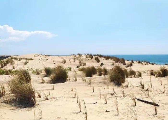 Moderne 8 Pers A La Palmyre Avec Piscine & Wifi - Fr-1-705-15