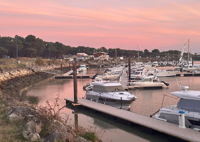 Villa Moderne 8 Pers A La Palmyre Avec Piscine & Wifi - Fr-1-705-15